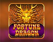 Fortune Dragon PP